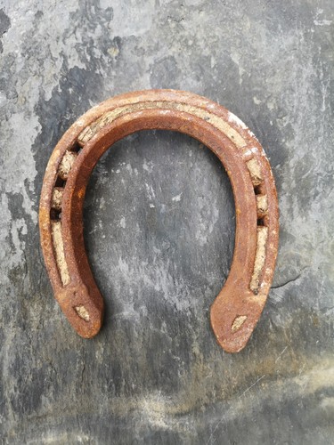 Lucky old horseshoe - old,