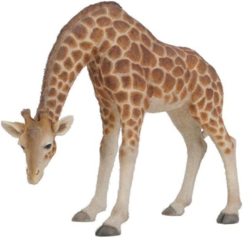 Giraffe garden statue - giraffe,
