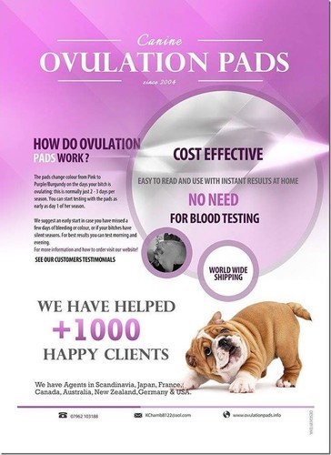 Canine ovulation test pads - ovulation,