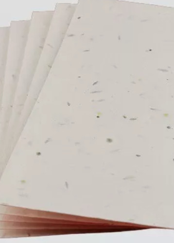 X100 seed paper plantable - seed,
