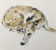 Original signed painting on canvas of a Whippet Greyhound Lurcher 16" x 14"