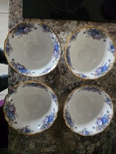 Royal Albert Moonlight Rose