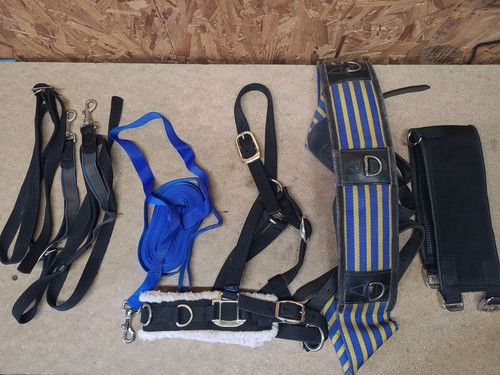 Lunging joblot full - lunging, joblot,