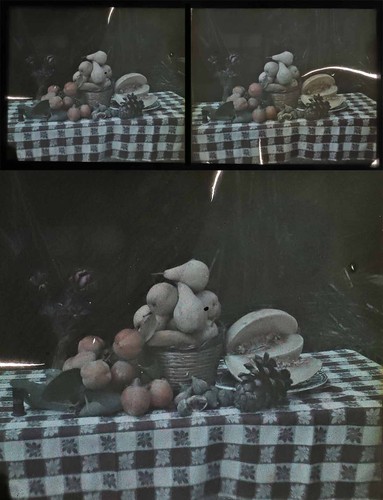 Autochrome stereoscopic - autochrome,