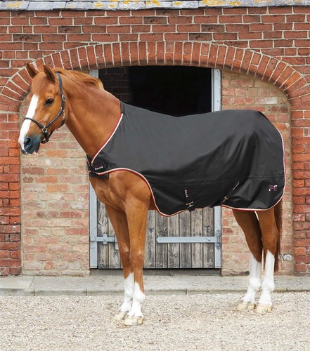 Premier equine horse - equine, walker