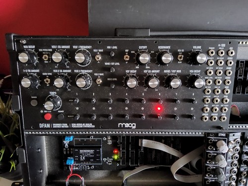 Moog dfam eurorack moduel - dfam, no