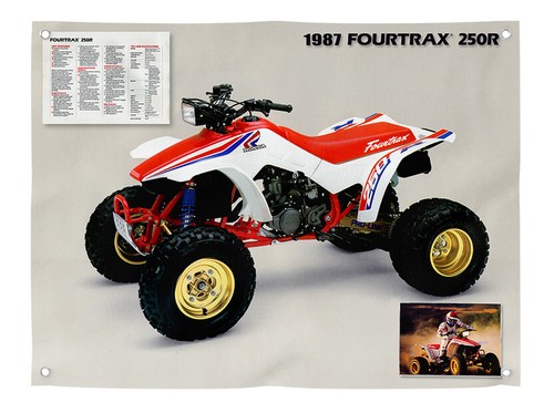 1987 honda fourtrax 250r trx - 250r,