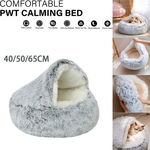 Dog cat bed - dog,