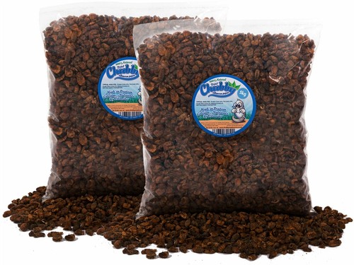 10kg dried silkworm pupae for - dried,