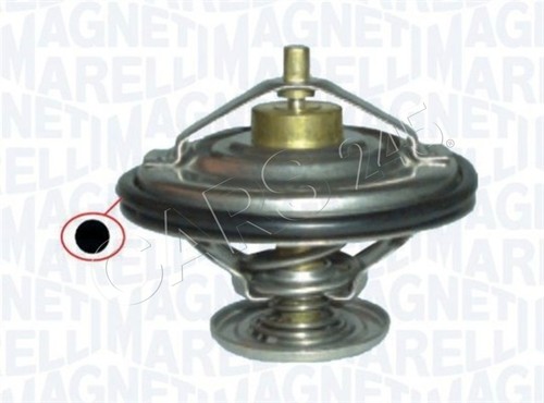 Magneti marelli coolant - magneti,