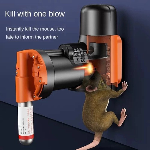 Humane non toxic rat and - rat, mouse