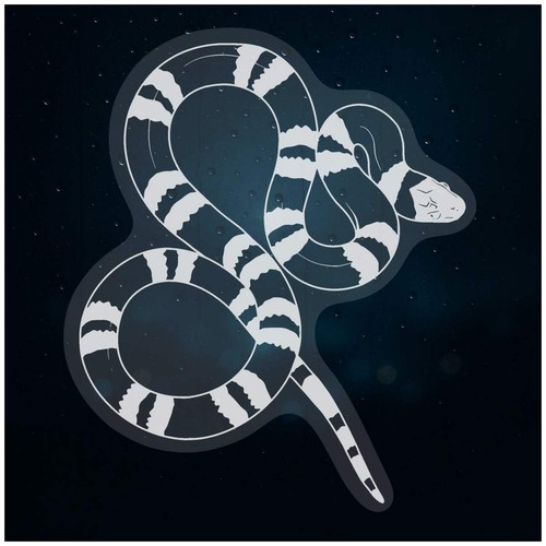 Milk snake static - snake', window