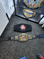 WWE Rated R Replica Belt