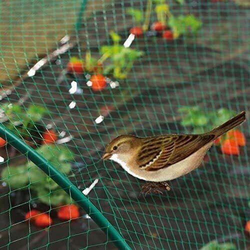 Anti bird pond netting net - anti,