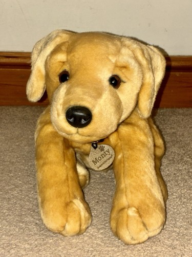 Monty the labrador - puppy, by