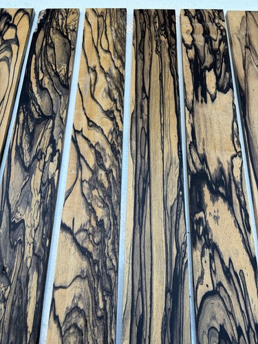 Pale moon ebony acoustic - moon,