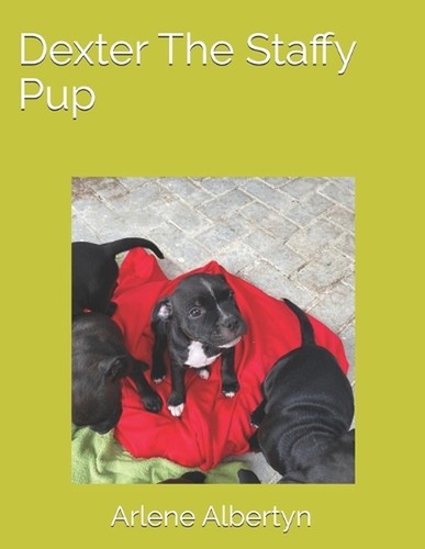 Dexter the staffy pup - the,