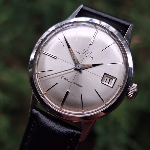 1960 glycine altus - glycine,