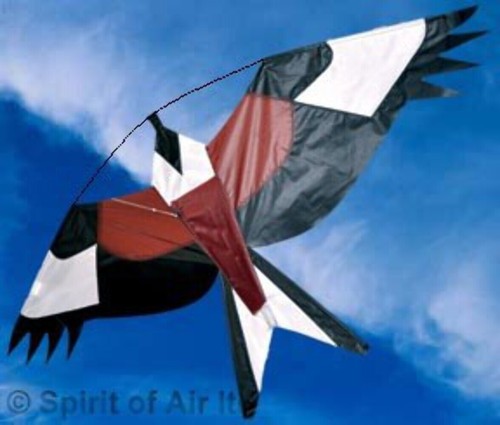 Flagseller red kite - flagseller, uk