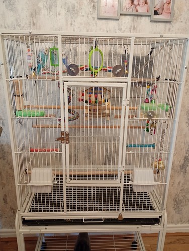 White metal bird cage with - white,