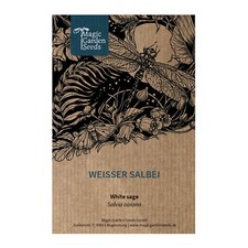 White Sage (Salvia apiana) - Approximately 100 Seeds