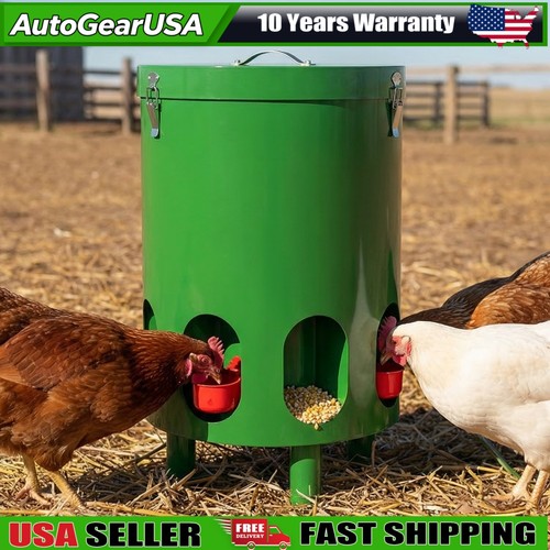Automatic chicken - ,