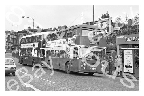 Bus photograph eastern - photograph,