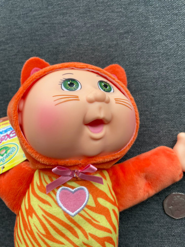 Brand new cabbage - cabbage, patch