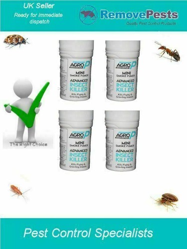 Flea bomb killer - bomb,