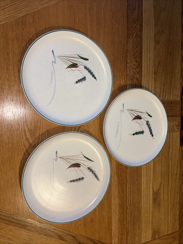 Denby greenwheat dinner plates - greenwheat,