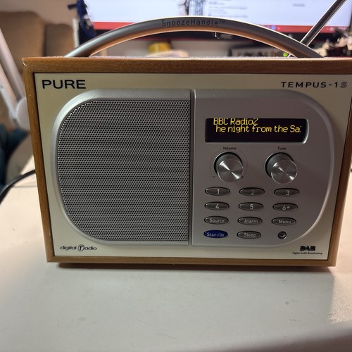 Pure tempus dab - pure,