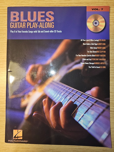 Blues guitar play along - guitar,