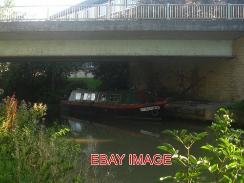 Photo rosie under the bridge - photo,