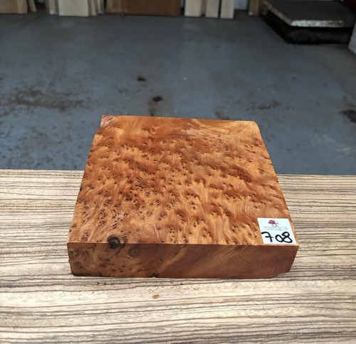 Thuya burr 8 x 2 - 8,
