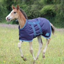 Shires Highlander Foal Rug 46