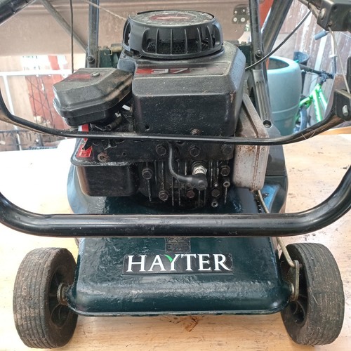 Free eaplo users hayter - free,