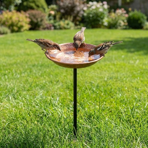 Large capacity bird - large,
