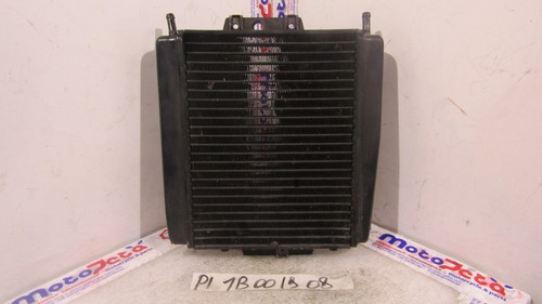 Water radiator piaggio - radiator, 300