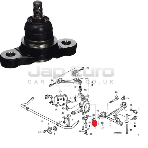 Front lower arm - arm, jointor