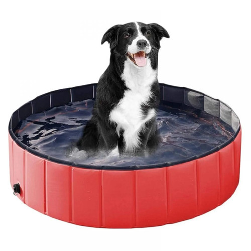 Large pet bath dog - xx-large,