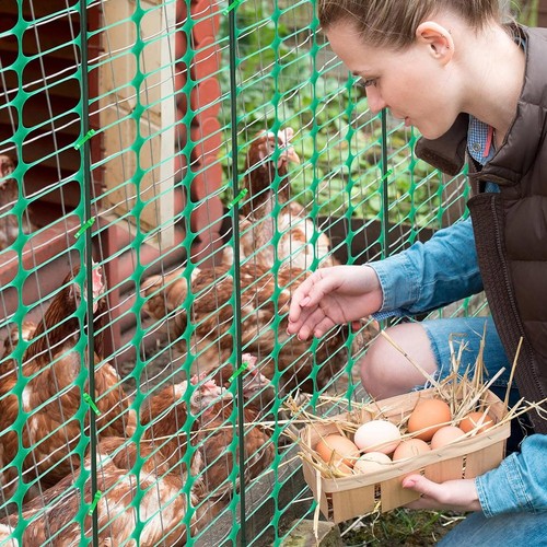 Plastic fence mesh garden - plastic,