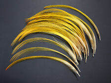 Golden Pheasant Crest Feathers Natural Fly tying ;over 9cm 50 pcs