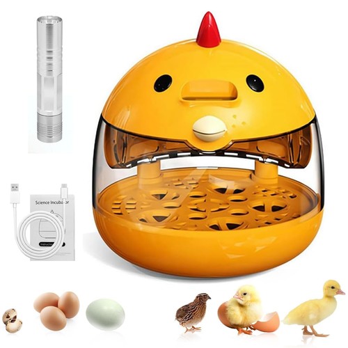 Incubator for hatching eggs - for,