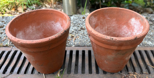 Sankey bulwell 5inch pots - 5inch, x