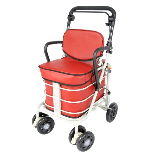 Shopping trolley with - shopping,