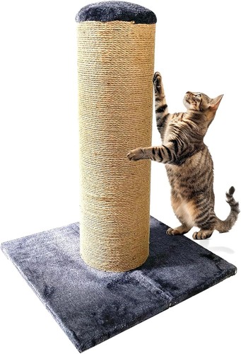 Ultimate fat boy cat - ca&t,