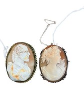 Vintage Cameo Brooch Set
