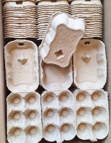 240 grey egg boxes - x,