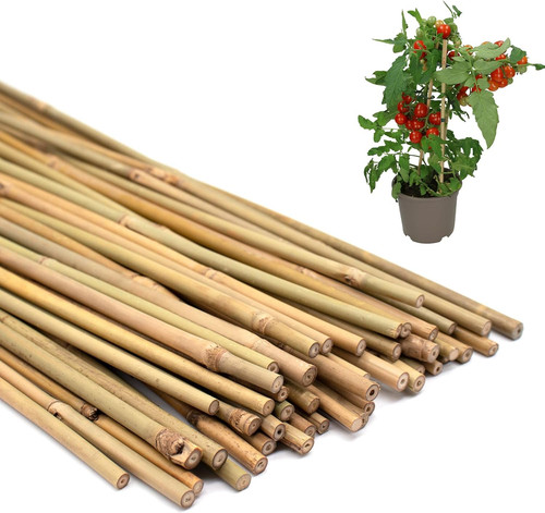50pcs bamboo plant - 50pcs,