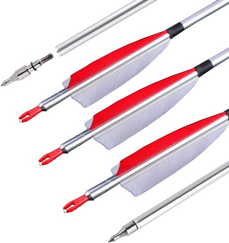 12x aluminum arrows sp500 - 12x, 30"